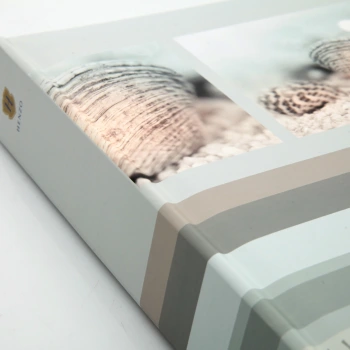 Album Henzo Back to Nature jasno-szary (300 zdjęć 10x15)